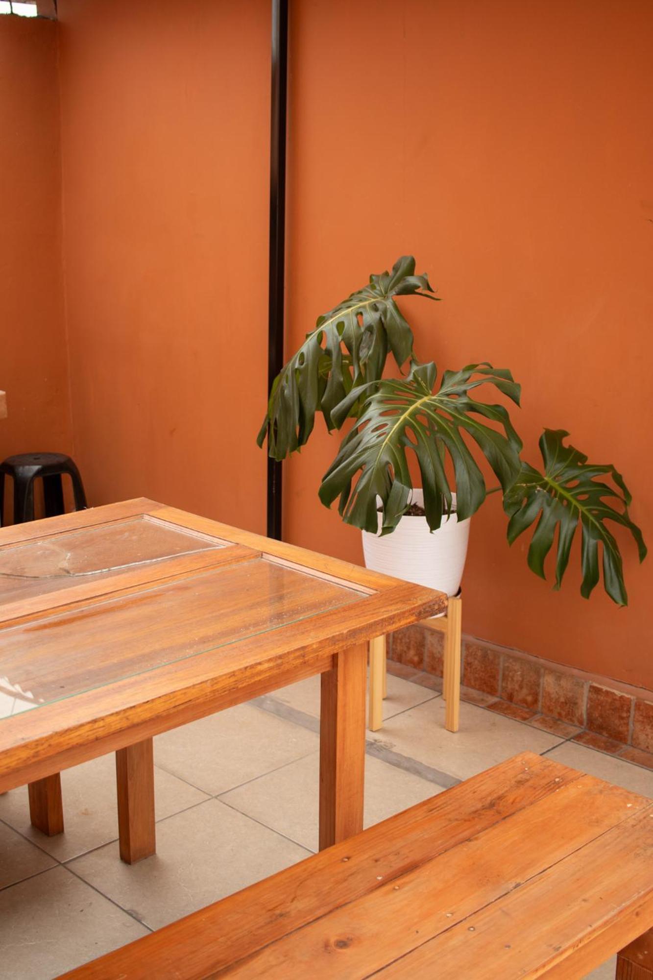 Temazcal Hostel Lima Exteriör bild